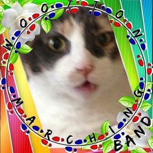 Meet your Posher, Lee